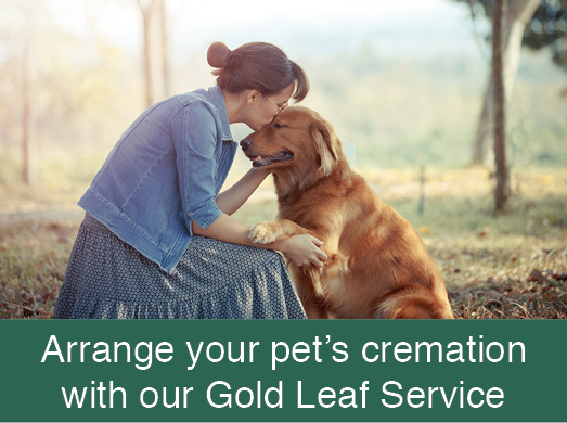 Arrange your pet's cremation with our Gold Leaf Service