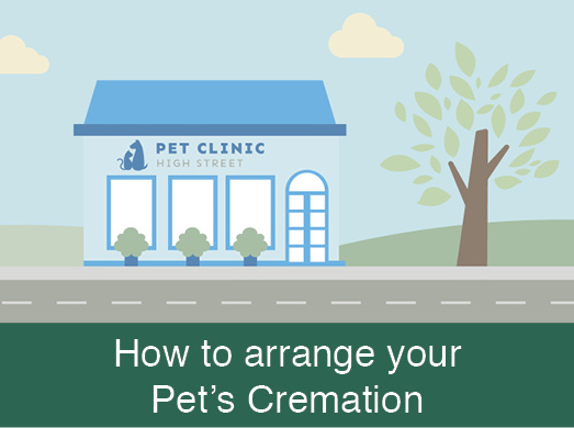 How to arrange your Pet's Cremation