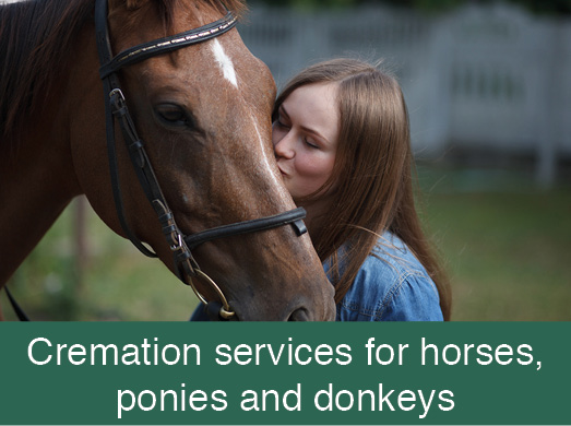 Cremation service for horses, ponies and donkeys