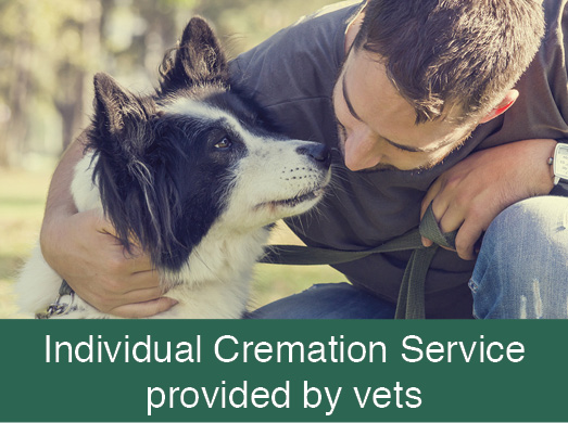 Individual Cremation Service provided by vets