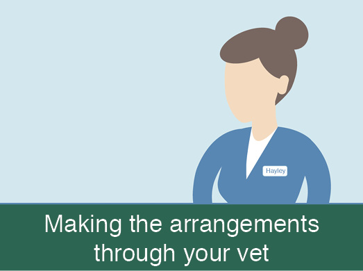 Making arrangements through your vet