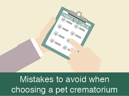 Mistakes to avoid when choosing a pet crematorium