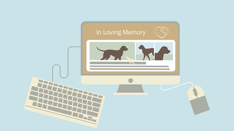 Remembering your pet
