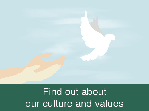 Find out about our culture and values