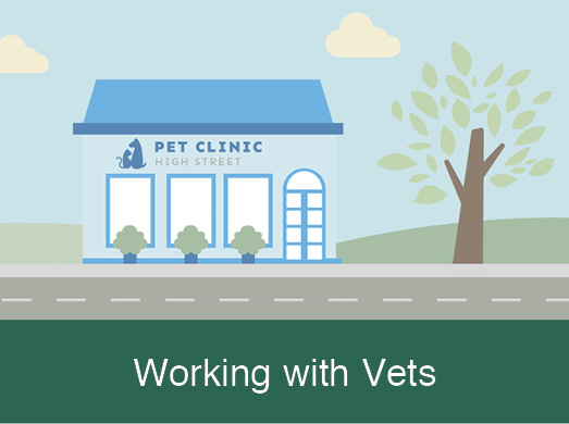 Working with Vets